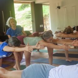 La formazione degli insegnanti Yoga IYENGAR